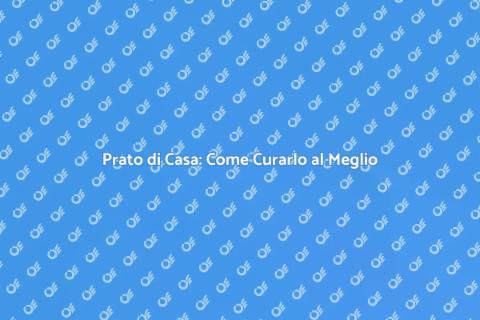 Cura Prato di Casa: Guida Completa