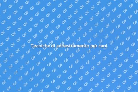 Addestramento cani per problemi alimentari