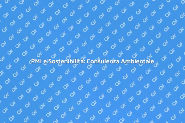 PMI: Il Futuro con la Consulenza Ambientale