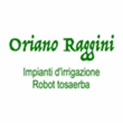 Raggini Irrigazioni e Robot Tosaerba  - Foto 1