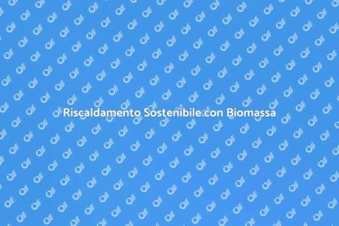 Caldaia Biomassa Efficiente e Sostenibile