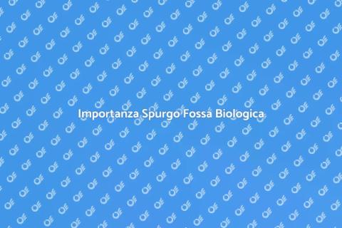Spurgo Fossa Biologica: Servizio Essenziale