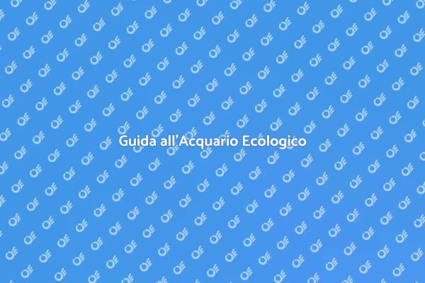 Acquario: Sostenibilità e Bellezza