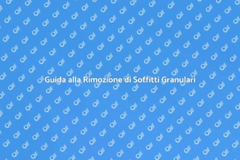 Rimozione Soffitto con Intonaco Gran
