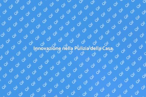 Pulizia Acrobatica per la Tua Casa