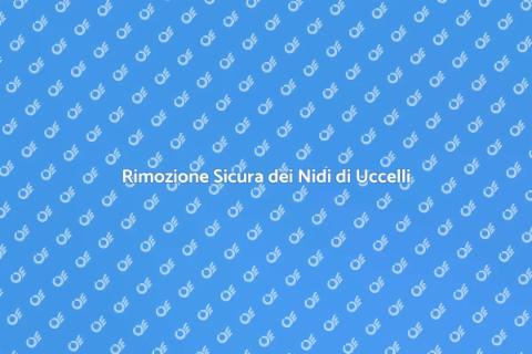 Rimuovere Nido di Uccelli: Guida Pratica