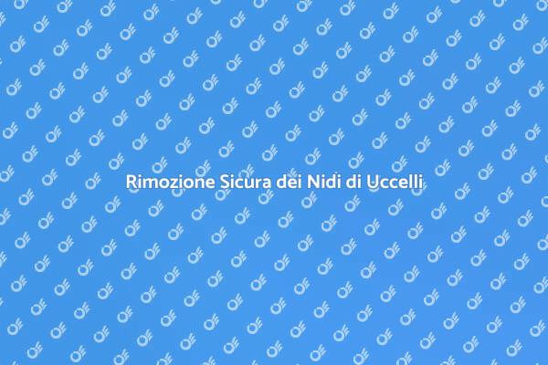 Rimuovere Nidi di Uccelli: Ecco Come Fare
