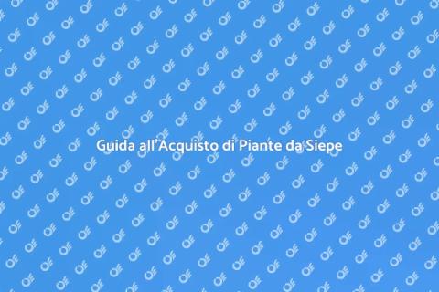 Piante da Siepe a Radice Nuda