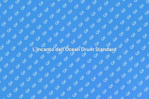 Ocean Drum: Magia e Melodia Unica