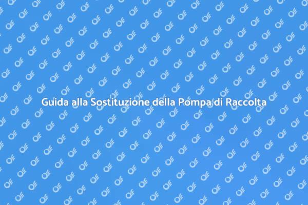 Sostituzione Pompa: Cosa Sapere