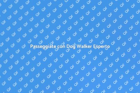 Dog Walker Esperto per il Tuo Amico
