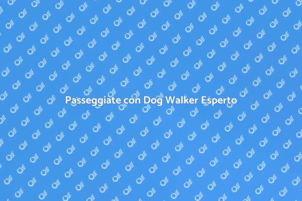 Il Miglior Dog Walker per il Tuo Cane
