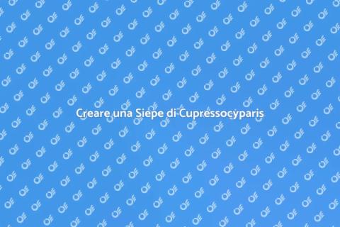 Siepe di Cupressocyparis: Progettazione