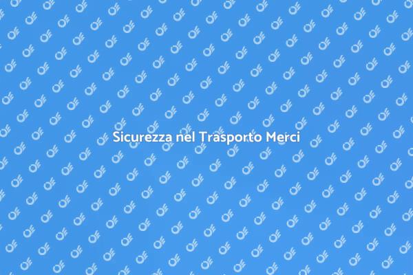 Controllo Sicuro dei Carichi