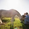 5 consigli per scegliere il veterinario giusto per il tuo cavallo