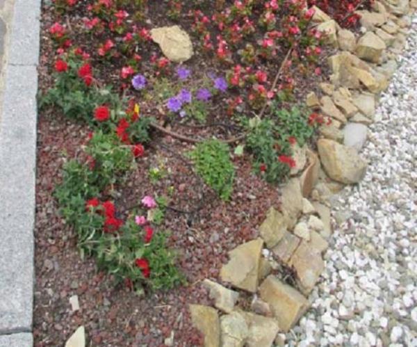 Giardinaggio Il Germoglio  - Foto 4