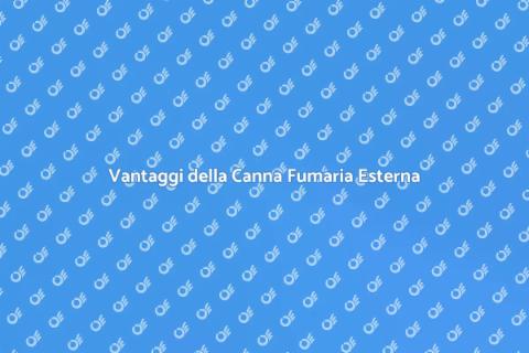 Canna Fumaria Esterna: Vantaggi e Funzioni
