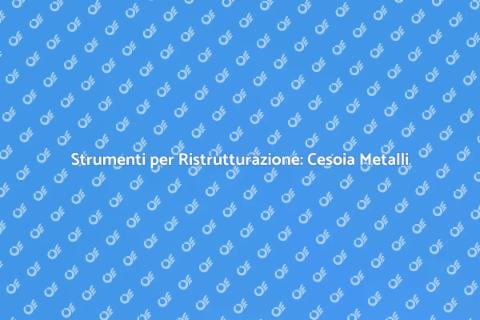 Cesoia per Tagliare Metalli Essenziale