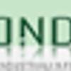 Mondino 