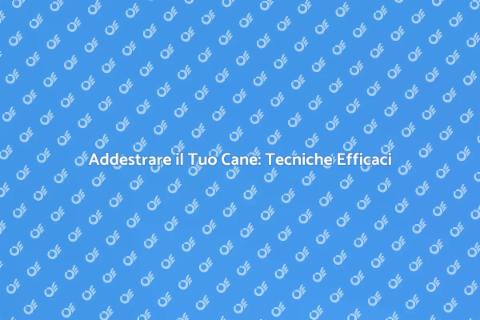 Addestramento Cani: Guida Pratica