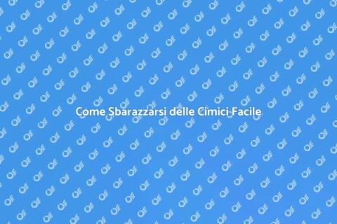 Sterminatore di Cimici: Guida Pratica