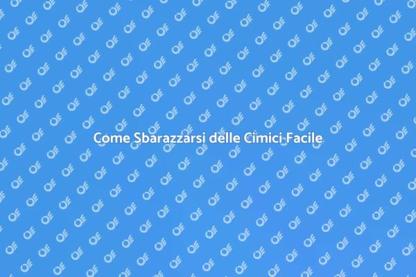 Stermina le Cimici: Soluzioni Efficaci