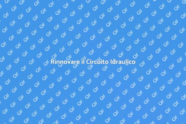 Necessità della Sostituzione Idraulica
