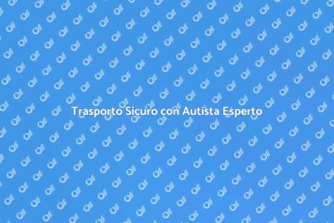 Sicurezza Trasporto con Autista