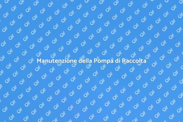 Manutenzione e Riparazione Pompa Raccolta