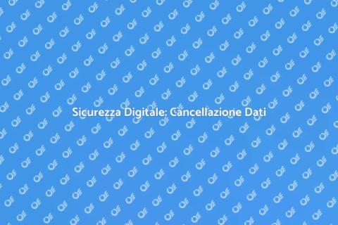 Cancellazione Professionale Dati Online