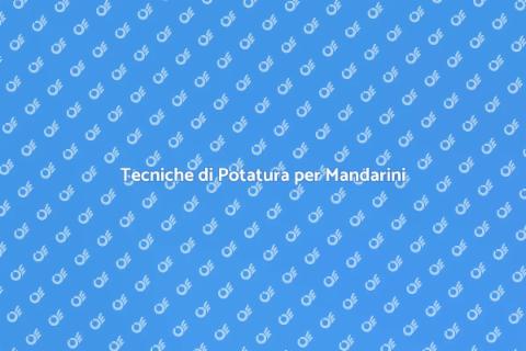 Potatura Alberi di Mandarino: Guida