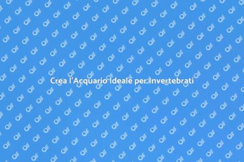 Acquario Perfetto per Invertebrati
