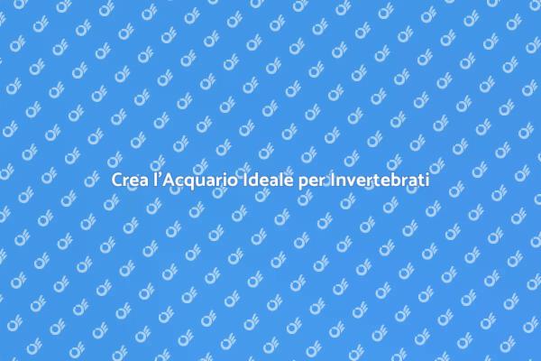 L'Acquario Perfetto per Invertebrati