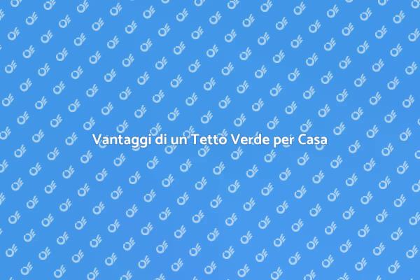 Tetto Verde: Innovazione e Sostenibilità