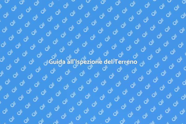 Ispezione Terreno: Cosa Sapere