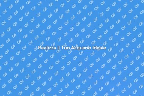 Consulente per Acquari: Il Tuo Esperto
