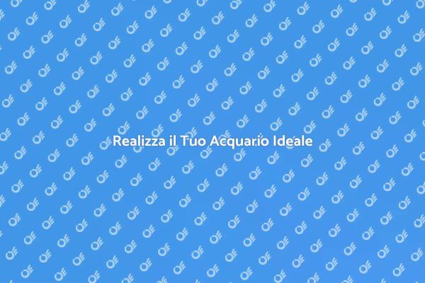 Affidati a un Consulente per Acquari