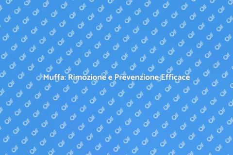 Rimozione e Prevenzione della Muffa