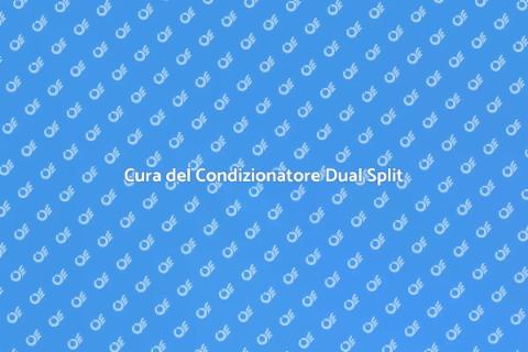 Manutenzione Condizionatore Dual Split