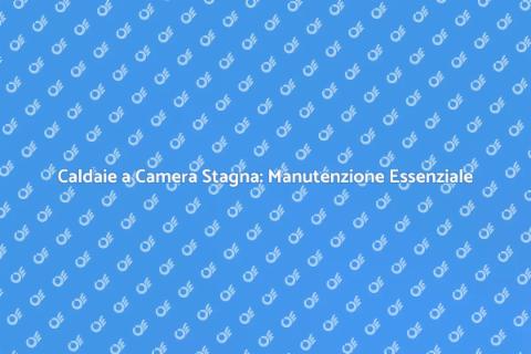 Manutenzione Caldaie a Camera Stagna