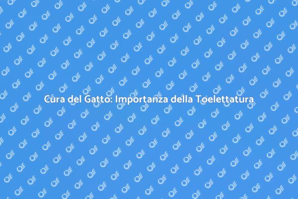 Toelettatura Gatto: Salute e Cura