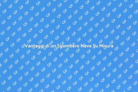 Sgombero Neve Personalizzato Efficace