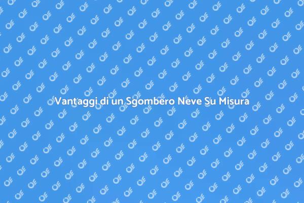 Sgombero Neve: Soluzione su Misura