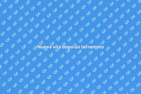 Ristrutturare dopo un terremoto