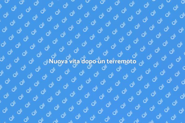 Ristrutturazione post-terremoto efficace