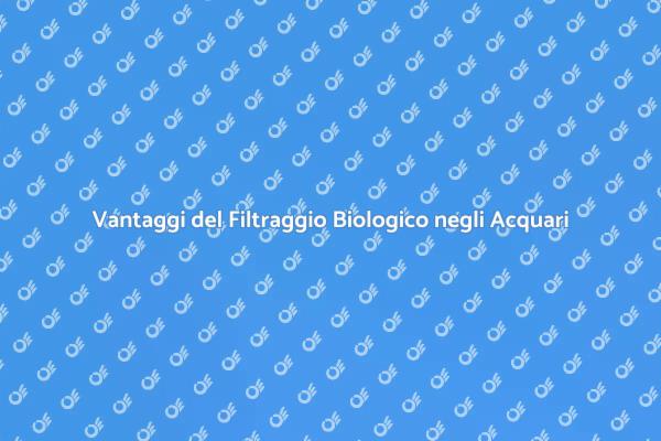 Filtraggio Biologico: Essenziale per Acquari
