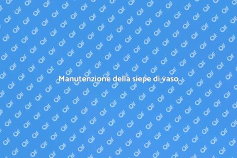 Curare una siepe di vaso in giardino