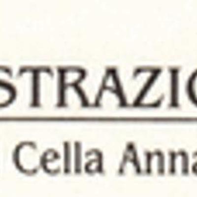 Amministratore Cella Sas