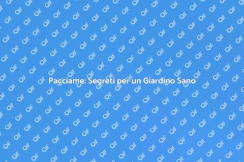 Applicare Pacciame: Guida Completa