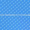 L'Arte del Food & Beverage per Eventi